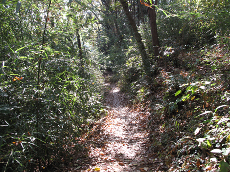 20151209hike (196)
